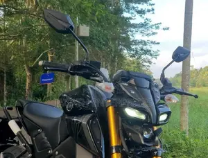 Yamaha MT 15 V2 2026