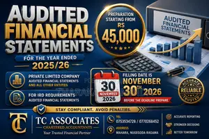 Auditing, Taxation and Preparation of Financial Statements,