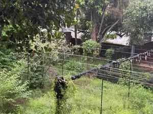 18P BARE LAND FOR SALE CLOSE TO MAIN ROAD ATTIDIYA DEHIWALA