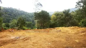 360P Bare Land for Sale in Kottagahaarawa, Ebulgoda, Badulla (SL 14514