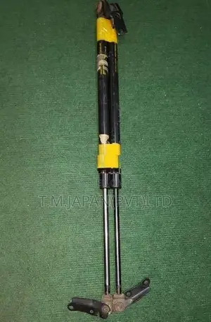 Toyota Estima Dicy Shock