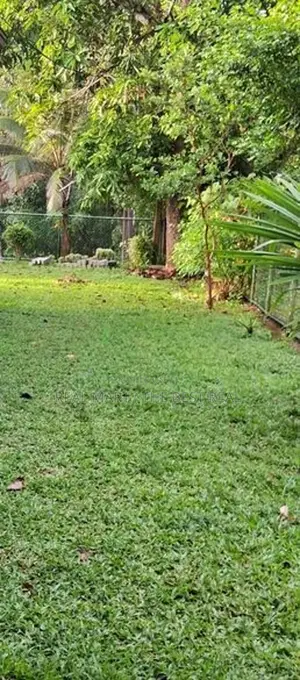 Dambulla 40.41 perches Bare Land for Sale Rathmalgahaela