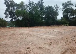Kandy : 80 Perches Bare Land for Sale in Digana