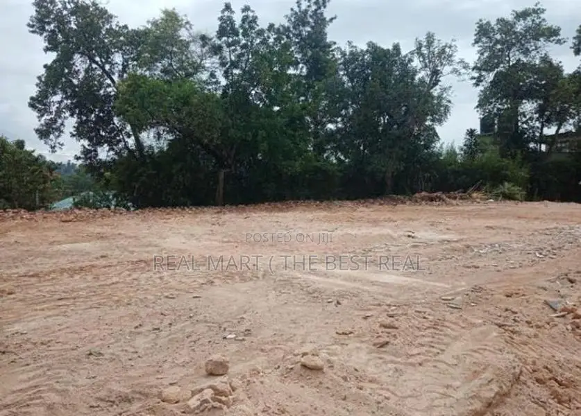 Kandy : 80 Perches Bare Land for Sale in Digana