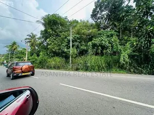 (NNI-99) 95 P Sale At Thalawathugoda