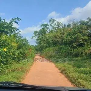 Land for Cultivation Yatawara, Kalutara. ( ID : YTWR001 )