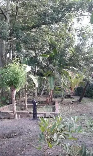 Negombo : 60 Perches Hotel Land for Sale at Pitipana