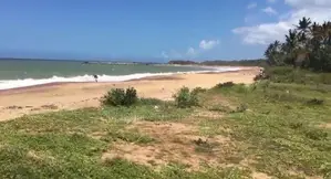 (AF159) 200P Beach Facing Land for Sale in Usangoda Nonagama