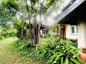 55 P Land for Sale in Mount Lavinia