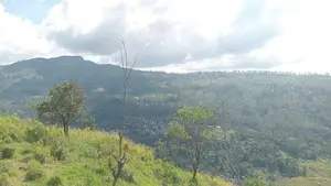 View point land for sale Nuwara Eliya Road