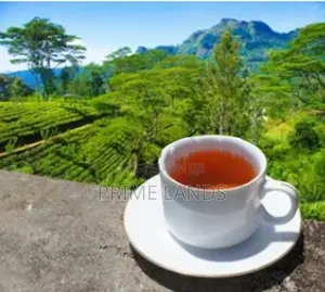 View Point Land for Sale Nuwara Eliya Road