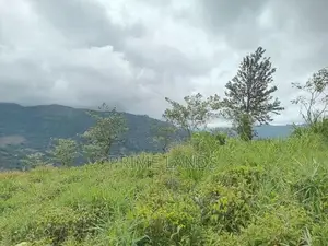 Valuable Land for Sale Peacock Estate Pussellawa