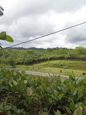 Aluthgama : 12.25 Acres Hotel Land for Sale facing Benthara River
