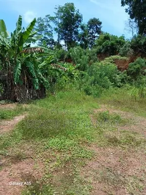 Bare Land Hokandara