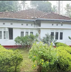Sale Panadura, Large Land with House at Value Only (NZMS3032)