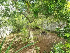 9.50P High Residential Land for Sale in Nawala