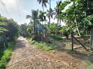 20P Rectangular Bare Land For Sale In Kahathuduwa