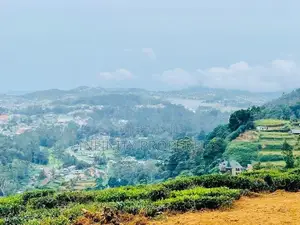 (AFA621) Nuwara Eliya Shanthi Pura 71 P With Bungalow For Sale! -