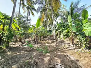 20P Rectangular Bare Land For Sale In Kahathuduwa
