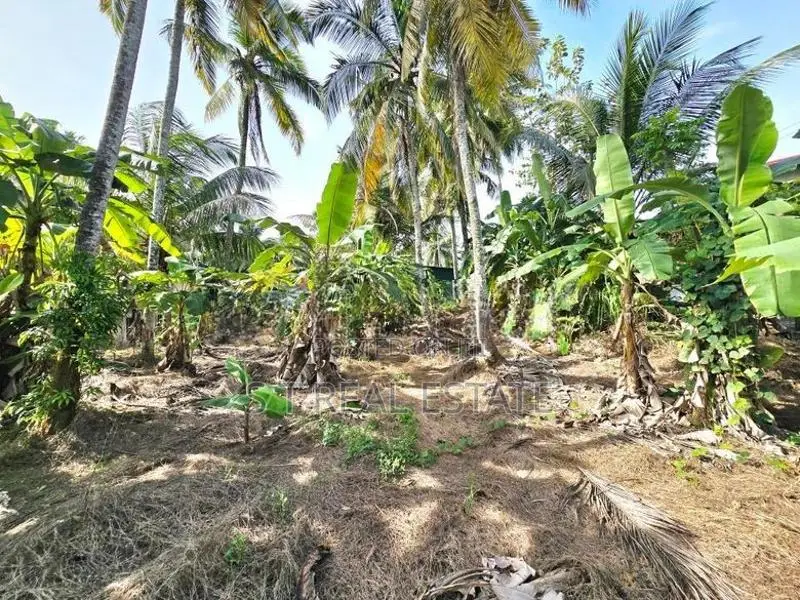 20P Rectangular Bare Land For Sale In Kahathuduwa