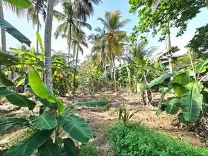 20P Rectangular Bare Land For Sale In Kahathuduwa