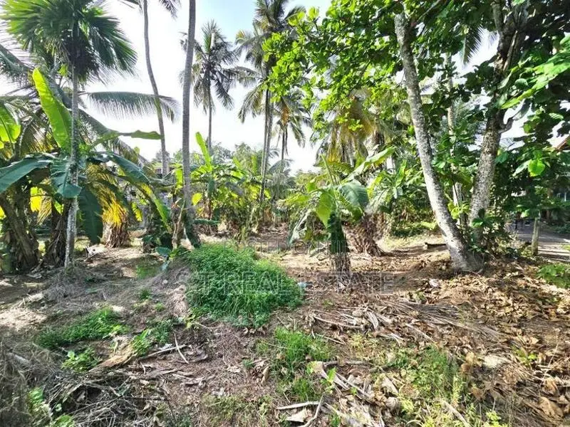 20P Rectangular Bare Land For Sale In Kahathuduwa