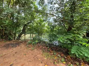 30P Water Front Land for Sale in Nawala