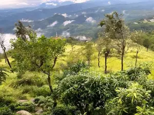 Land for Sale in Haputale