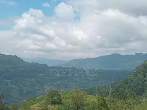 Mountain Range View Point Pundaluoya
