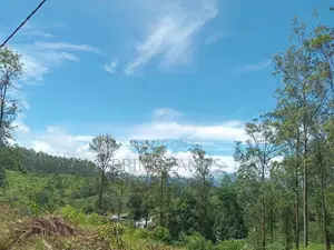 Land for Sale Ramboda