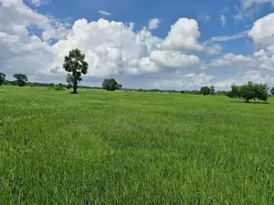 Agricultural Land for Sale - Nelukkulam