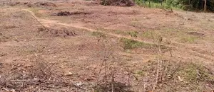Puttalam : 25 Acres Land for Sale at Wanathavilluwa