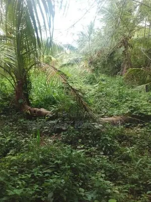 Land for Sale in Kahathuduwa