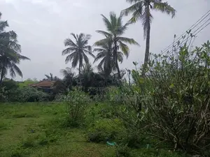 Residential Land for Sale in Kondavil