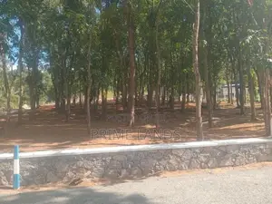 මහෝගනී වත්තක් පිලියන්දල නගර සීමාවෙන්