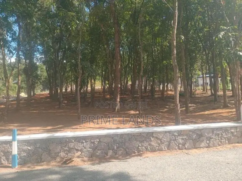මහෝගනී වත්තක් පිලියන්දල නගර සීමාවෙන්