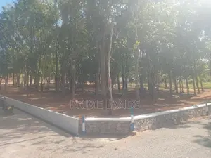මහෝගනී වත්තක් පිලියන්දල නගර සීමාවෙන්