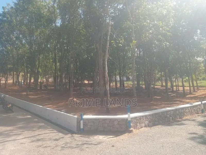 මහෝගනී වත්තක් පිලියන්දල නගර සීමාවෙන්