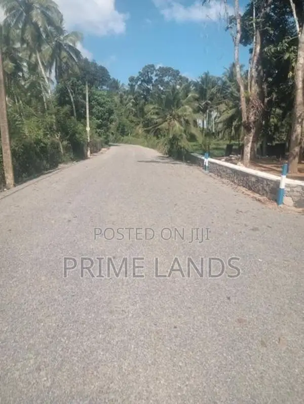 මහෝගනී වත්තක් පිලියන්දල නගර සීමාවෙන්