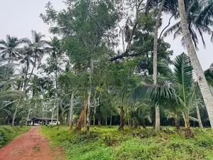 Estate for Sale in Gampaha