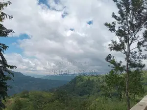 Land for Sale Pundaluoya