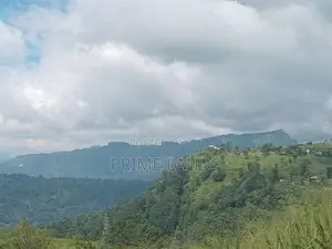 Land for Sale Pundaluoya