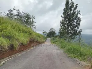 Land for Sale Nuwaraeliya