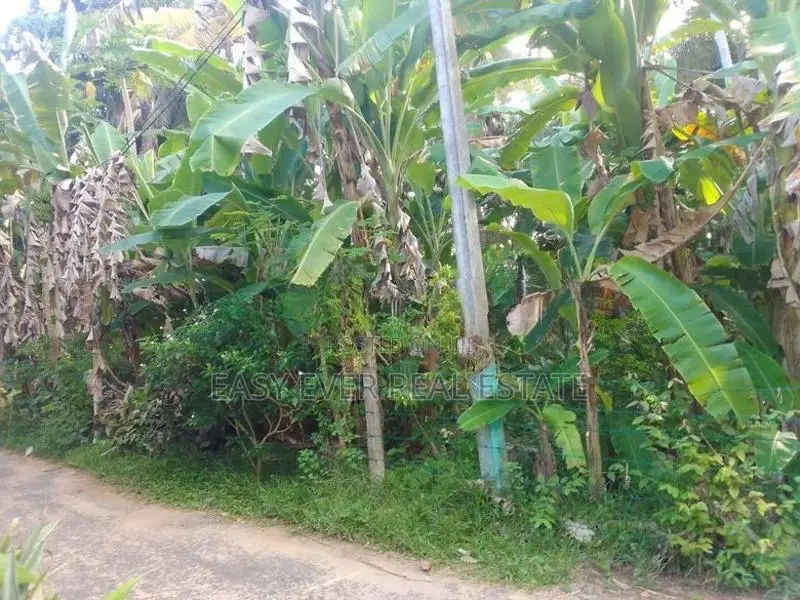 Prime Land for Sale in Hikkaduwa