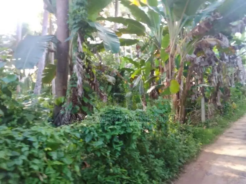 Prime Land for Sale in Hikkaduwa