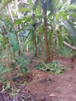 Prime Land for Sale in Hikkaduwa