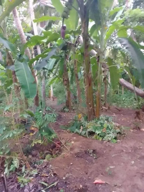 Prime Land for Sale in Hikkaduwa