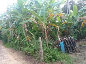 Prime Land for Sale in Hikkaduwa
