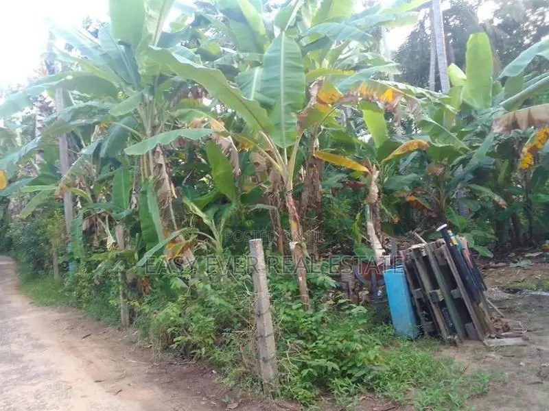 Prime Land for Sale in Hikkaduwa