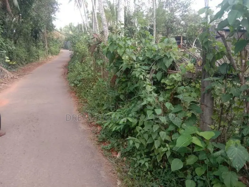 Kasbawa Gonapala Land for Sale ( Rs - 543 )